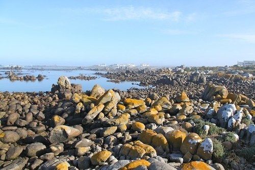 Klokkiebosch Guesthouse Jacobs Bay Eksteriør billede